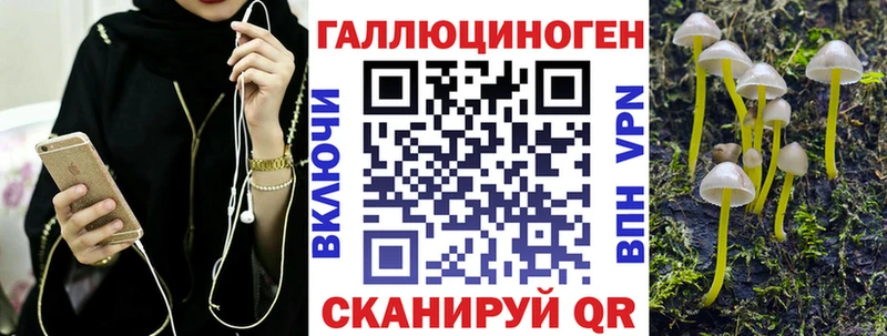 Галлюциногенные грибы Magic Shrooms  Купить где  Качканар 